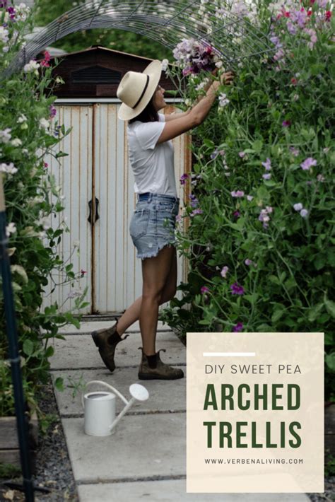 DIY Sweet Pea Trellis Arch - Verbena Living