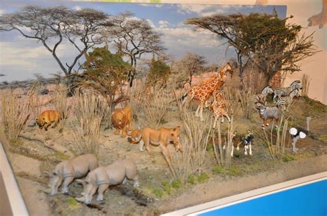 20 best School: Diorama African Savanna images on Pinterest | School projects, Craft kids and ...