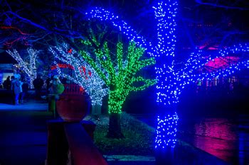 Brookfield Zoo Lights Holiday Magic - ChicagoFun.com