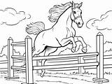 Lovely Horse Jumping Coloring  Page sketch template