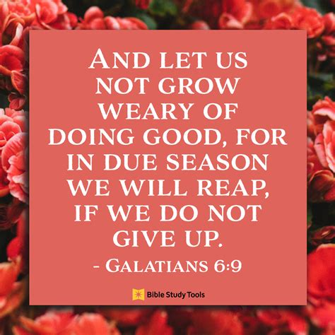 When We Get Too Weary (Galatians 6:9) - Your Daily Bible Verse - June ...