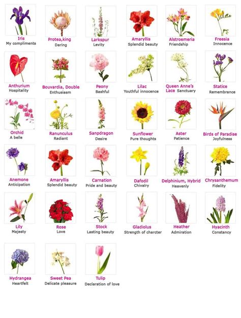 Flowers, Their Meanings, And Which Ones NOT To Give Your Valentine ...