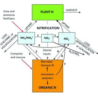 (PDF) Controls and Adaptive Management of Nitrification in Agricultural ...