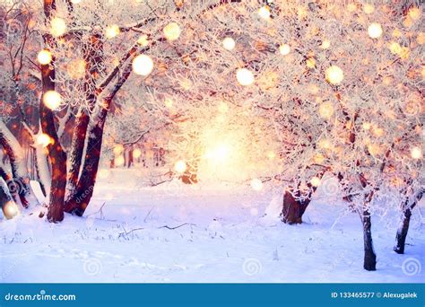 Winter Forest with Colorful Snowflakes. Snow Covered Trees with ...