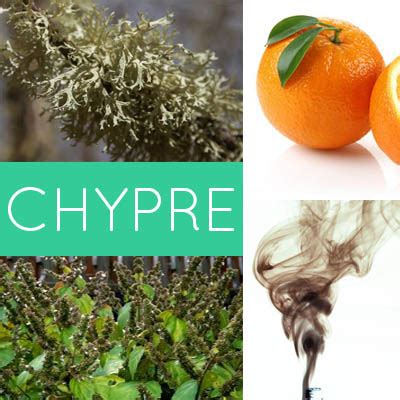 Chypre Fragrance - TGSE Custom Fragrance