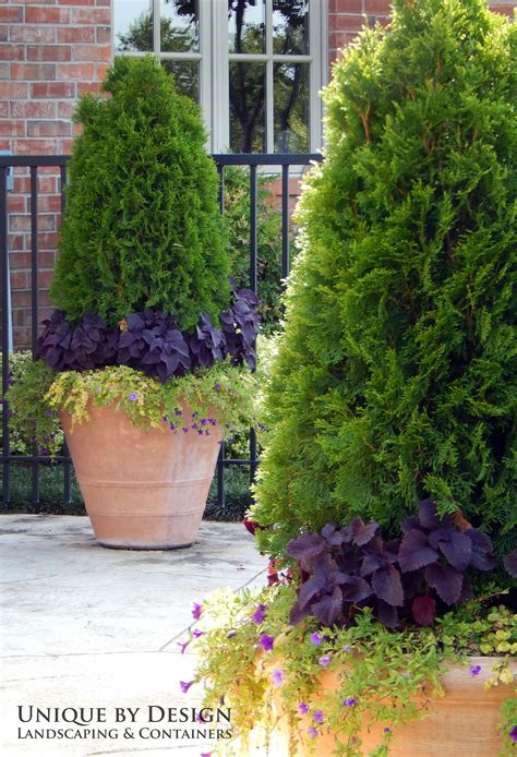 Gardening in Containers - Pots :: Unique by Design | Jardinagem, Orquídeas, Plantio