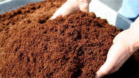 Coir Pith :- What is Coir Pith Compost?