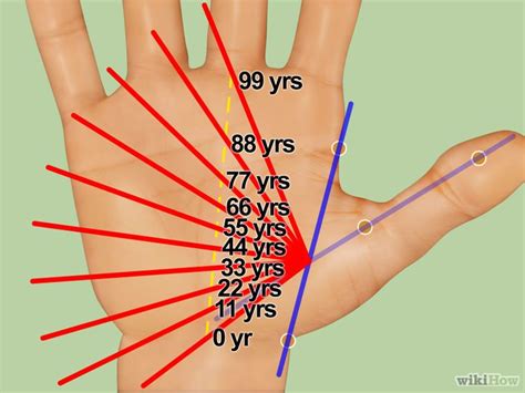 How to Calculate the Age of a Person Using Palmistry: 6 Steps ...