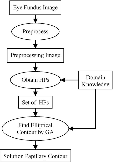 Structure of fundus of eye | Semantic Scholar