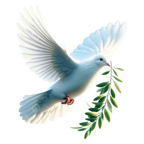 Peace Dove White Dove Olive Branch Illustration, Peace Dove, White Dove, Olive Branch PNG ...