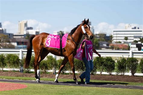 12th Annual Pink Ribbon Race Day - gcVIP