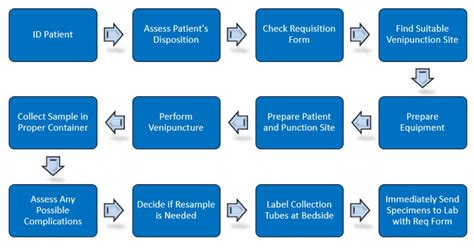 Phlebotomy Procedure Step By Step - E Phlebotomy Training