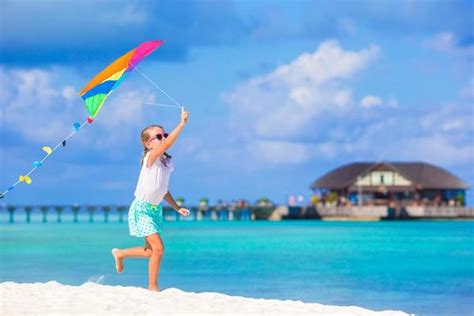 Kite Flying Beach Stock Photos, Images and Backgrounds for Free Download