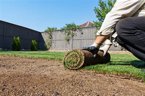 Turf Laying - Central Coast NSW - Green Ocean Lawns & Garden Maintenance