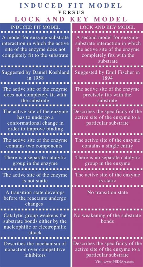 What is the Difference Between Induced Fit and Lock and Key - Pediaa.Com