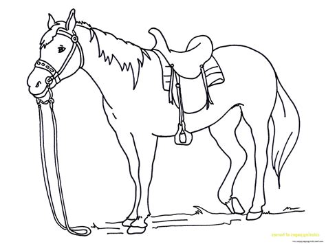 Gambar Mewarnai Kuda Horse Coloring Books Horse Coloring Pages - Riset