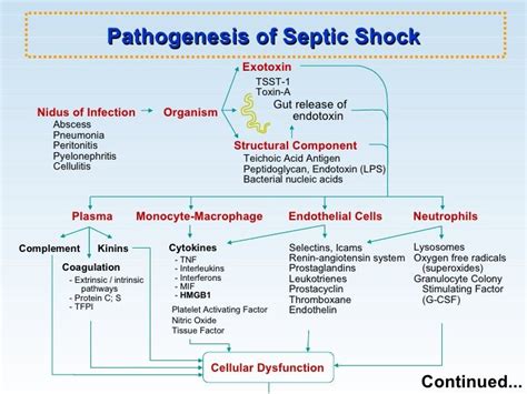 Pin on Sepsis