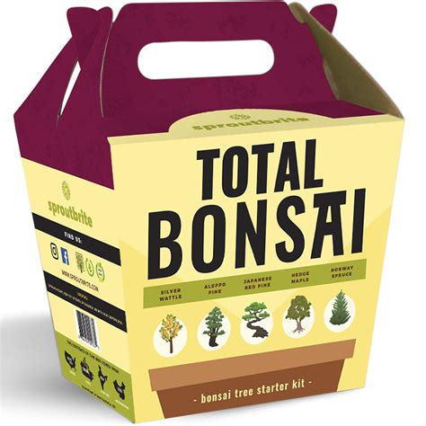 Sproutbrite Bonsai Tree Starter Kit - The 5 Easiest Trees to Grow from Seed Indoors - Complete ...