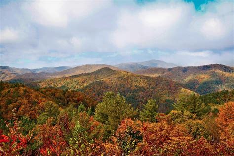 Fall Colors in Tennessee [OC][1600 x 1066] : r/EarthPorn