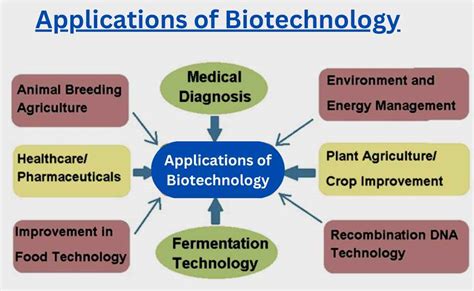 Real World Applications of Biotechnology