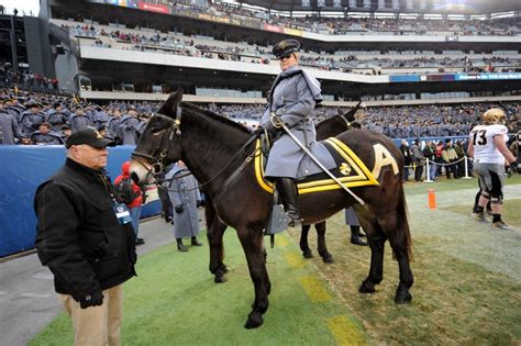 MOAA - Team Mule, or Team Goat? Know your Army-Navy mascots