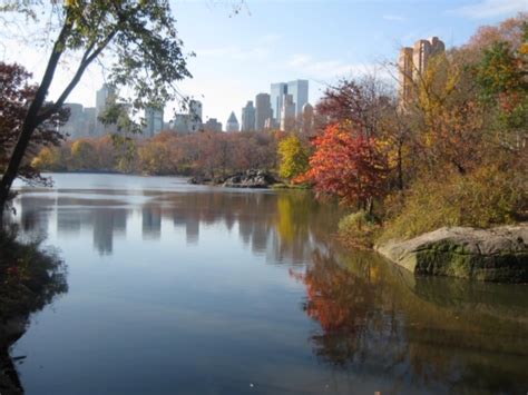 Lakes/Wind and Spiritual Meditation and Your Reactions | Austin Forest ...