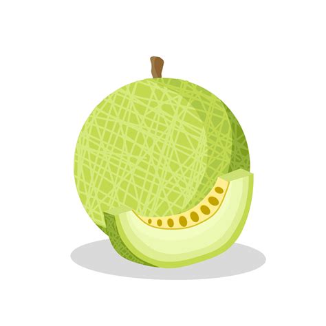 Melon fruit illustration image. Melon fruit icon, fruits 9195560 Vector Art at Vecteezy