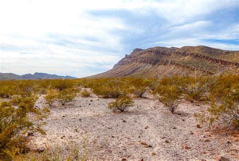 Mexico Desert Pictures | Download Free Images on Unsplash