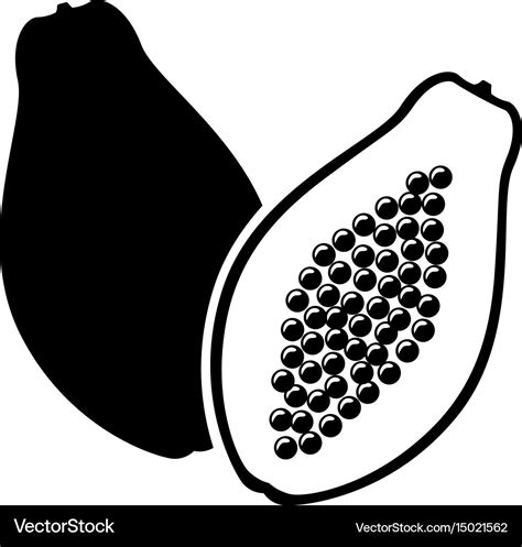 Papaya fruit image Royalty Free Vector Image - VectorStock