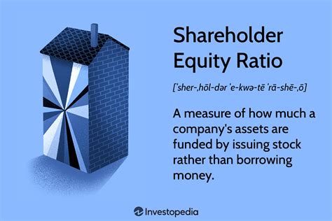 Shareholder Equity Ratio: Definition and Formula for Calculation (2024)