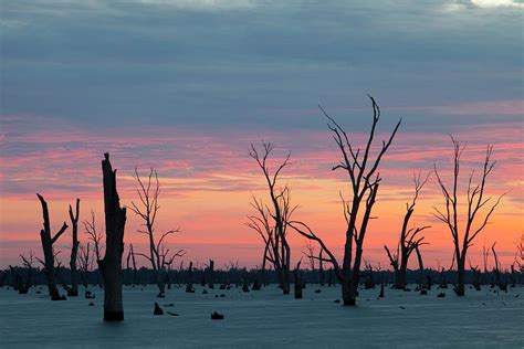 Lake Mulwala At Yarrawonga Was Created Photograph by Ashley Cooper - Pixels