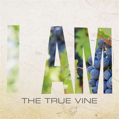 I Am the True Vine | Hope Baptist Church