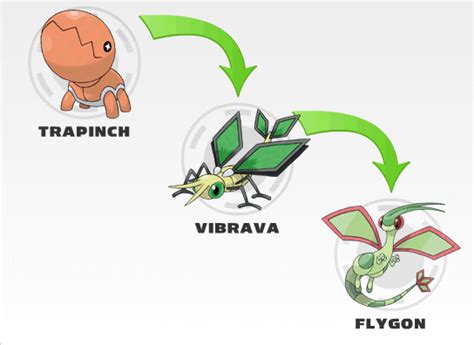 Pokemon Flygon Evolution Chart