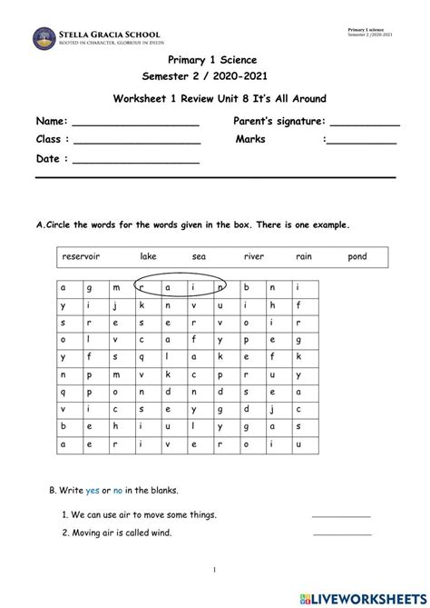 Primary 1 Science activity | Live Worksheets