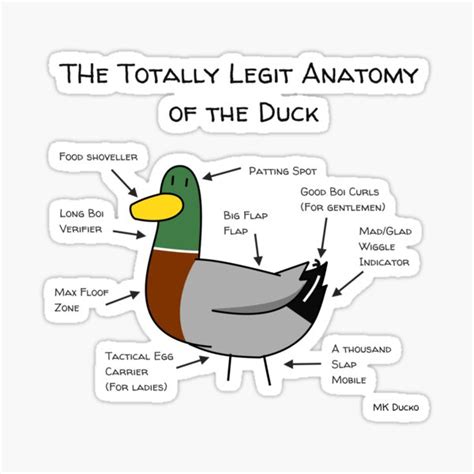 "Ducko Originals #OG08: Totally Legit Anatomy of the Duck" Sticker for Sale by MishNugget ...