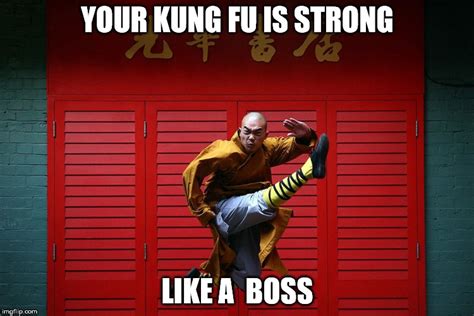 your kung fu is strong Memes & GIFs - Imgflip