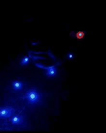 Blinking Christmas Lights Gif GIFs | Tenor