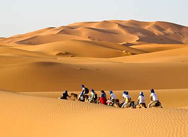 Desert Safaris Abu Dhabi | Desert Adventures