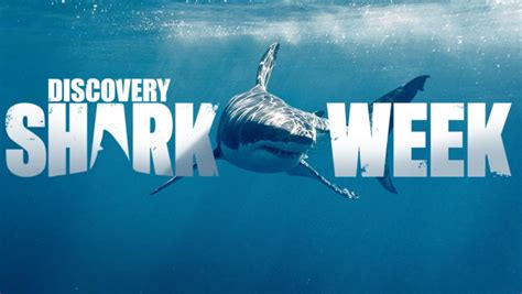 Shark Week Logo Png