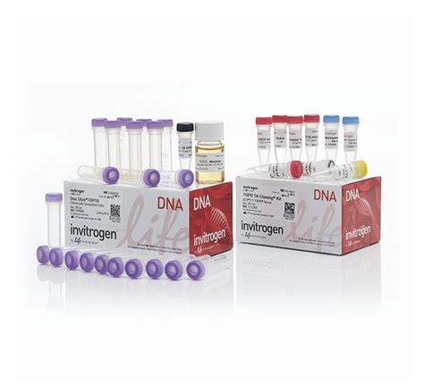 Invitrogen TOPO TA Cloning Kit for Subcloning, with One Shot TOP10 chemically | Fisher Scientific