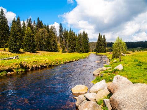 Sumava National Park - the Bohemian forest