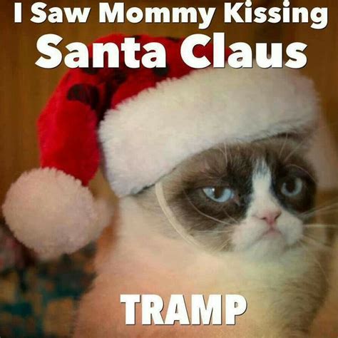 70 best Grumpy Cat at Christmas images on Pinterest | Grumpy cat ...