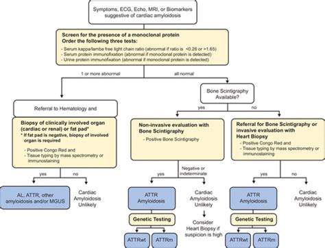 Expert Consensus Recommendations for the Suspicion and Diagnosis of Transthyretin Cardiac ...