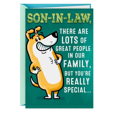 You're Special Funny Birthday Card for Son-in-Law - Greeting Cards - Hallmark