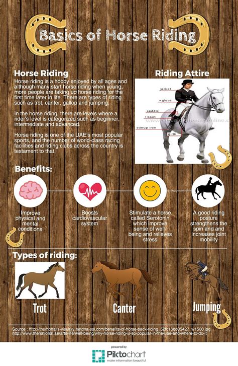 Five Fascinating Facts About Horses Horse Facts Horse Care Horses | Images and Photos finder