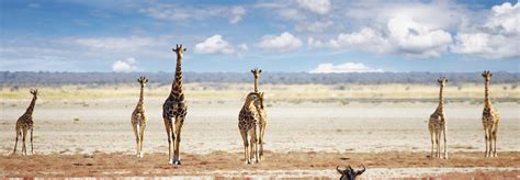 10 Best Namibia Tours & Vacation Packages 2020/2021 - TourRadar