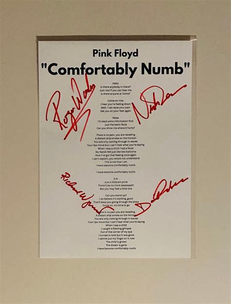 Pink Floyd comfortably Numb Signed Lyric Sheet - Etsy