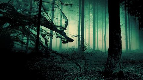 Forbidden Forest Wallpapers - Wallpaper Cave