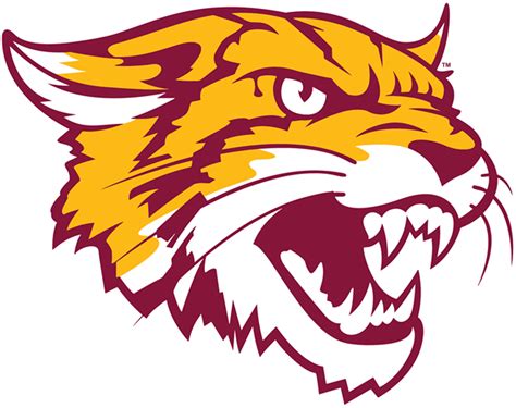 Bethune-Cookman Wildcats Alternate Logo (2016)