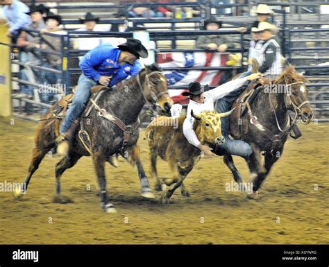 Denver Rodeo Events Stock Photo - Alamy